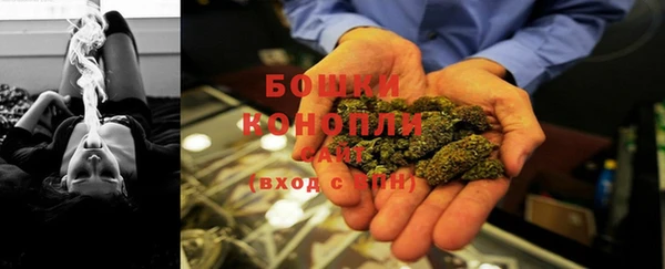 дмт Кинешма