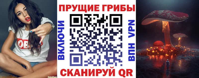 Купить  Отрадная  Псилоцибиновые грибы MAGIC MUSHROOMS